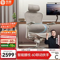 SIHOO C300i 智能人体工学椅按摩电脑椅 办公椅子人工力学座椅电竞椅