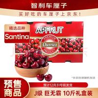 京鲜生 智利Santina车厘子J级10斤礼盒装 果径约26-28mm