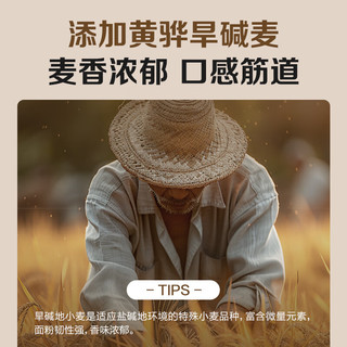 1号会员店（One's Member）麦芯多用途颗粒小麦粉 10斤 无添加面粉黄骅旱碱麦颗粒粉不黏手