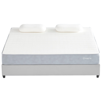 YANXUAN 网易严选 云逸 记忆棉弹簧床垫 180*200*22cm