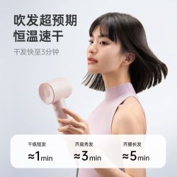 徕芬 SE Lite 家用入门款高速吹风机大风力速干