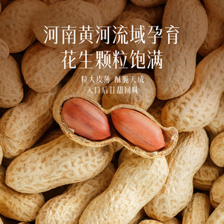 薛记炒货 香脆椒花生米 100g*1袋 休闲零食