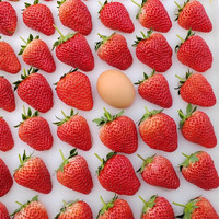 特大果 红颜99草莓 1.7斤装 单果20-30g