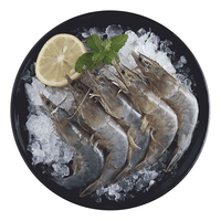 蓝湃 越南白对虾 单只11-13cm 600g