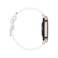 HUAWEI 华为 WATCH GT 2 时尚款 智能手表 42mm 金色不锈钢表壳 凝霜白皮革表带（血氧、GPS、心率）