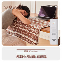 彩阳电热暖身毯定时盖毯办公室午休可水洗暖腿云朵绒加发热披肩毯 加热坐毯【45*65】-无定时 不可水洗