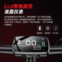 五羊电动车 五羊锂电池助力电动自行车禧玛诺变速超长续航山地车男女士双碟刹单车 磨砂黑-20A-26寸-续航180km