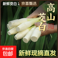 新鲜茭白时令蔬菜带壳茭白高笋应季美食农家自种包邮 现采带壳茭白0.8-1斤 净重