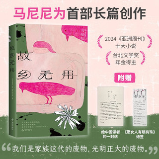故乡无用 2024亚洲周刊十大小说 马华文学女性新声 为无用的废物立传