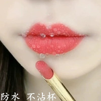 李佳琪不掉色不沾粘杯豆沙正红肉桂奶茶色口红保湿显白