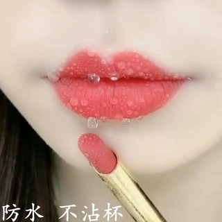 李佳琪不掉色不沾粘杯豆沙正红肉桂奶茶色口红保湿显白