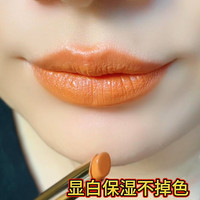 李佳琪不掉色不沾粘杯豆沙正红肉桂奶茶色口红保湿显白