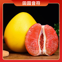 【福建琯溪蜜柚】红心柚子10斤装老树头茬鲜果皮薄鲜嫩多汁多仓