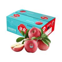 Goodfarmer 佳农 高原超甜苹果 单果果重160g-200g 5kg