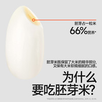 秋田满满 有机胚芽米 500g 婴幼儿辅食粥米
