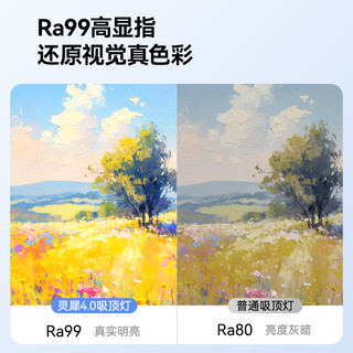 yeelight易来全光谱高亮吸顶灯全屋简约大气灯具智能客厅灯灵犀 S-客厅【Ra99灵犀4.0】智控-160W