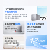 飞牛nas智能存储EVO 2双盘位N150家庭网络存储私有云主机手机扩容相册备份服务器硬盘 【银灰色】16G 128G系统盘（配8T*2希捷酷狼硬盘）