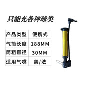 柏潮 高压打气筒 便携自行车摩托车汽车电动车充气泵篮球家用通用 (升级款)小款