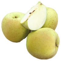 Goodfarmer/佳农 雀斑美人 苹果 5斤装 9-12粒