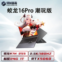 MECHREVO/机械革命 极光 极光X 64GB