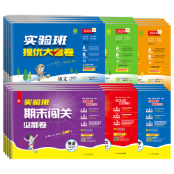 2024版实验班提优大考卷