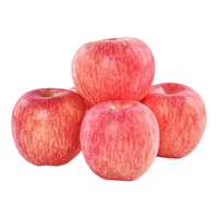 京鲜生圣诞平安夜红富士苹果单果230g起 一枚纸盒装圣诞果礼盒 生鲜