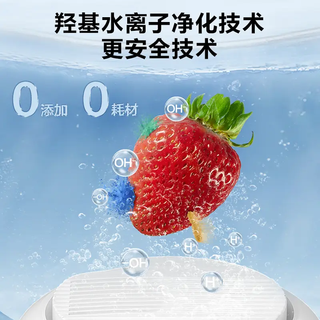 苏泊尔食材净化篮 肉类果蔬多功能清洗机 杀毒消菌降解重金属小型家用食材净化机 洗菜-A GS30 纯钛电解片【珍珠白】