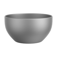 TIANDLIFE 纯钛茶杯双层防烫主人杯 磨砂宽底杯 50ml