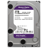 Western Digital 西部数据 紫盘系列 3.5英寸 监控级硬盘 2TB（CMR、256MB）WD22EJRX