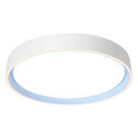  雷士 NVC   Lighting Linefriends联名 WHXD36F/G-01 LED吸顶圆灯 36W 可妮兔款