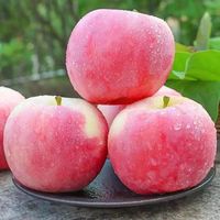 萧鲜生 正宗陕西红富士苹果， 9斤【特大果】