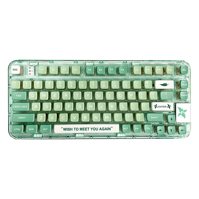 薄荷绿