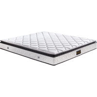 DeRUCCI 慕思 MCW1-132 智感弹簧床垫 180*200*25cm
