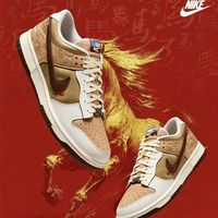 NIKE DUNK LOW 男款板鞋 IQ1118-220