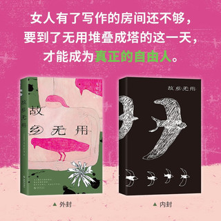故乡无用 2024亚洲周刊十大小说 马华文学女性新声 为无用的废物立传