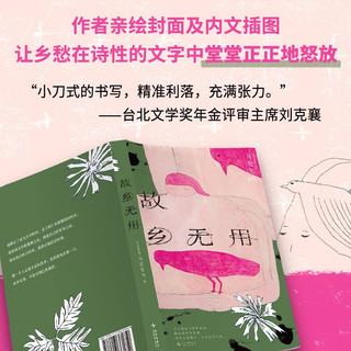 故乡无用 2024亚洲周刊十大小说 马华文学女性新声 为无用的废物立传