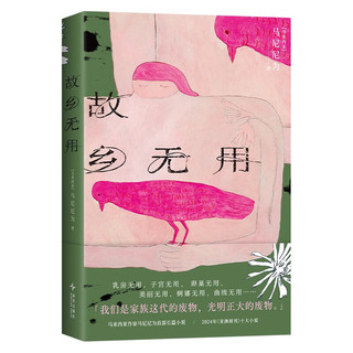 故乡无用 2024亚洲周刊十大小说 马华文学女性新声 为无用的废物立传