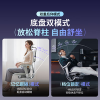 Ergonor保友金豪E2/金豪E2 Pro 高端人体工学椅 电脑椅办公椅家用电竞椅 【金豪E2 Pro】银白(云感科技座垫)+躺舒宝 整椅 