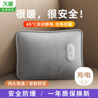 久量 DP）电热水袋 充电暖水袋暖手宝暖脚暖床暖宝宝自动断电防爆取暖神器