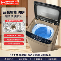 扬子 全自动洗衣机租房1-2人宿家用波轮10/25KG大容量
