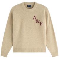 【经典LOGO】AF男装25秋冬百搭宽松圆领毛衣针织衫120-5181