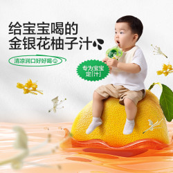 宝宝馋了 婴标0添加 金银花柚子汁