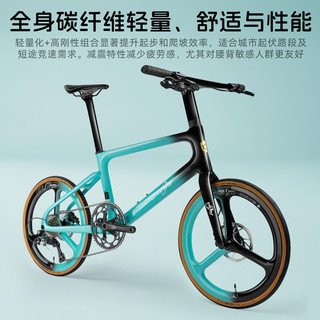 DAHON大行超轻全碳纤维小轮车冲击波轮组油压碟刹变速城市通勤