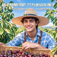 【2026】 智利车厘子新鲜大果应季大樱桃水果JD/ 4斤