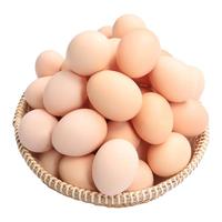 霖勉 新鲜土鸡蛋 农家柴鸡蛋 散养谷物虫草蛋 笨鸡蛋 50枚 2000g -精品人工挑选 精选鸡蛋40枚