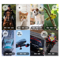  Canon/佳能 7K超采 全画幅微单相机+RF85mm F1.4 L VCM中远摄定焦  单头套机 85mm