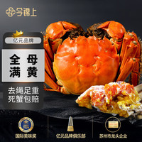 今锦上 大闸蟹鲜活螃蟹礼盒全母2.3-2.6两8只装精品礼盒礼品 去绳足重