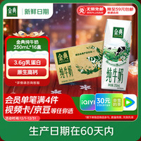 伊利 SATINE 金典 3.6g乳蛋白 纯牛奶 250ml*16盒