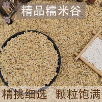 维霆精品糯谷 糯米谷带壳 带壳糯米糯稻 稻谷糯谷稻 新居入伙酿酒原粮 1斤价