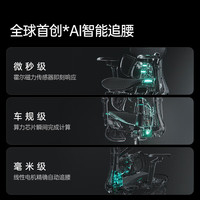 黑白调X7高端智能人体工学椅电脑椅办公椅子人工力学座椅【罗永浩】 X7标配 智能追腰按摩-尼龙背杆